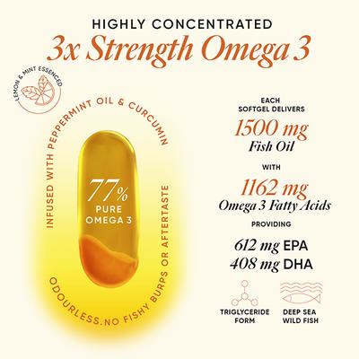 Wellbeing Nutrition slow triple strength Omega 3 fish oil with curcumin extract for brain, joint and heart - Omega Fish Oil Fatty Acids