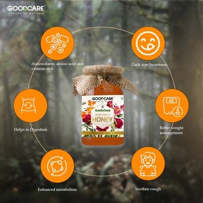 Goodcare Sundarbans Wild Forest Honey 500 gm - Honey
