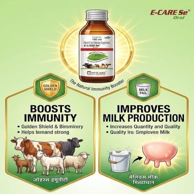 E Care Se Oral Supplement 100 ml - Pet Healthcare