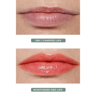 Organic Harvest Red Lip Balm(Hibiscus) 10 gm - Lip Balms