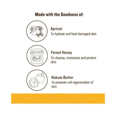 SoulTree Apricot Moisturiser with Honey & Kokum Butter 200 ml - Face Moisturizers