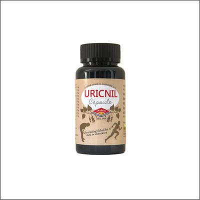 Prabhat Ayurvedic Pharmacy Uricnil Capsule 60's - Speciality Medicines