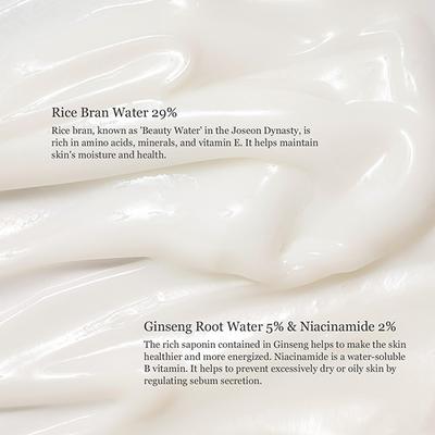 Beauty Of Joseon Dynasty Cream 50 ml - Face Moisturizers