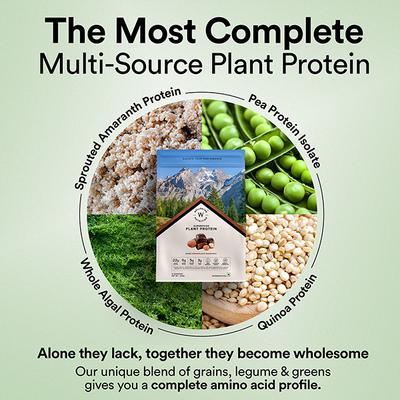 Wellbeing Nutrition Organic Vegan Plant Protein Isolate - Dark Chocolate Hazelnut 500 gm - Protein Drink