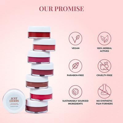 Just Herbs Nourishing Lip and Cheek Tint with Javitri + Jojoba Oil 02 Peachy Coral 4gm - Lip Stains & Tints