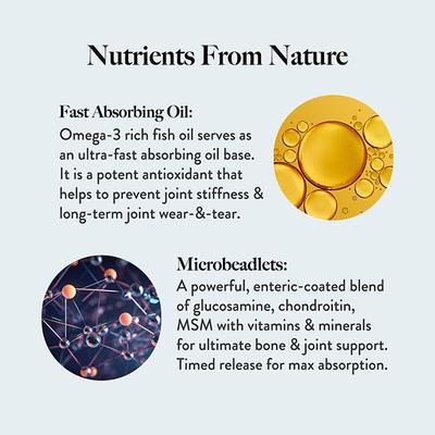 Wellbeing Nutrition Slow Bone Support Capsule Men & Women Bone and Joint Vitamin Supplements - Vital Health