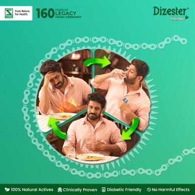 Dr. Willmar Schwabe Dizester Herbal Digestive Tonic (Sugar Free) 200 ml - Speciality Medicine