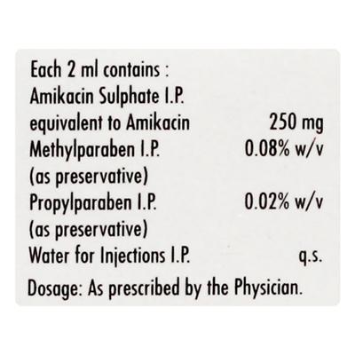Alinfec 250mg Injection 2ml - Bacterial Infections-Ami