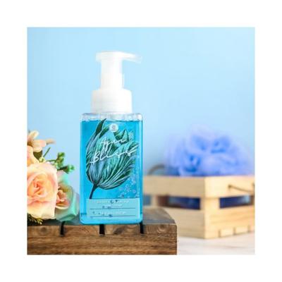 Bloomsberry Aqua Bliss Gentle Foaming Hand Soap 450 ml - Hand Wash & Soaps