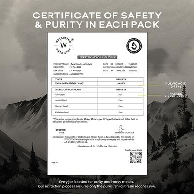 Wellbeing Nutrition Pure & Original Himalayan Shilajit Resin 10 gm - Multi-Vitamins