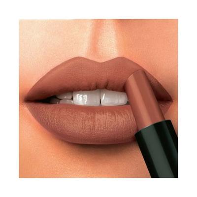 Elle 18 Color Pops Silk Lipstick, B41 4.3 gm - Lipsticks