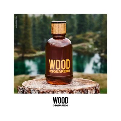 DSQUARED2 Wood D2 Pour Homme Eau De Toilette Natural Spray 100 ml - Men Perfumes (Edt/Edp)