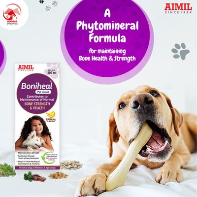 AIMIL Boniheal PET Liquid 200 ml - Pet Healthcare