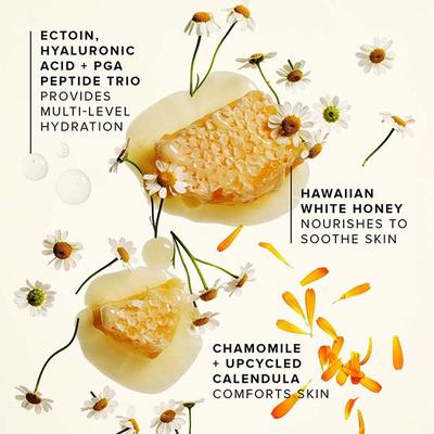 Farmacy Beauty Honey Cloud Moisturizer 50 ml - Face Moisturizers