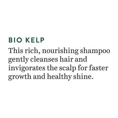 Biotique Ocean Kelp Anti Hair Fall Shampoo190 ml - Shampoos