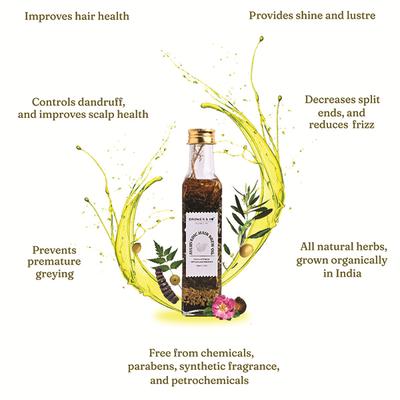 Dromen & Co Ayurvedic Hair Brew Oil 250 ml - Hair Oils