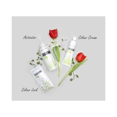 Naturigin Permanent Hair Colour Dark Coffee Brown 3.0 115 ml - Powder