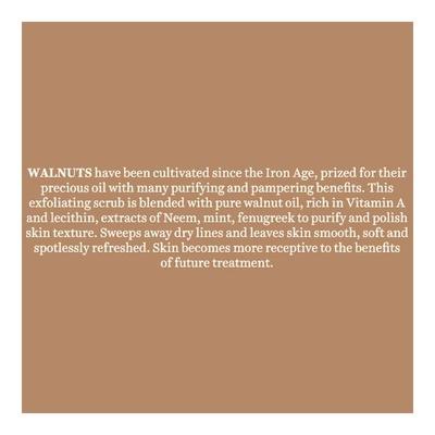 Biotique Bio Walnut Purifying & Polishing Scrub for Normal to Dry Skin 50 gm - Face Scrubs