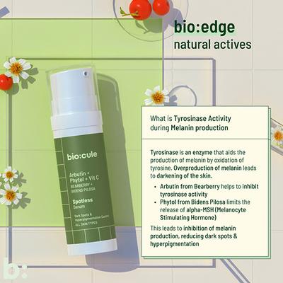 Biocule Spotless Serum, With Vitamin C & Arbutin, For Dark Spots & Hyperpigmentation 15 ml - Face Serum