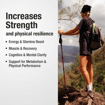 Bargad Himalayan Shilajit Dry Drops 60's - Speciality Medicines