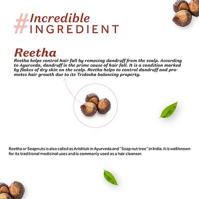 Atulya Reetha Organic Powder 100 gm - Conditioners