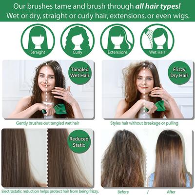 NuWay 4HAIR U.S. Patented Detangler Hair Brush for Men & Women - Green - Detangling C Brush 1s 1's - Hair Brushes