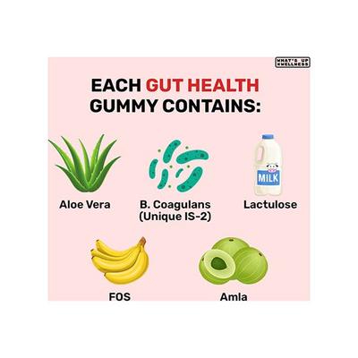 Whats Up Wellness Gut Health Gummies, Pre and Pro Biotic Patented Strain No Added Sugar 30 Days, 30 Gummies 1's - Digestive Health