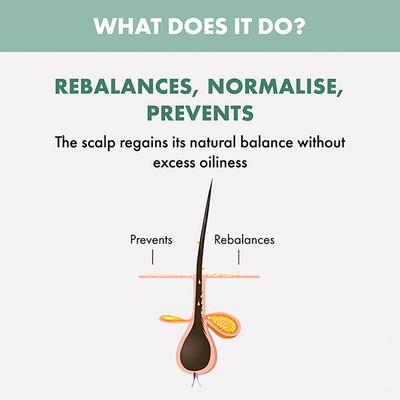 Alfaparf Milano Scalp Rebalance Purifying Low Shampoo - Anti Dandruff For All Scalps 1000 ml - Shampoos