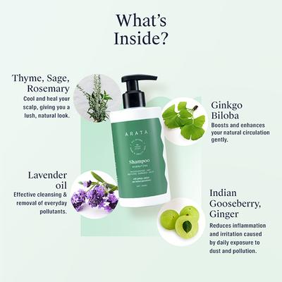 Arata Natural Hydrating Hair Shampoo With Ginkgo, Ginger & Indian Gooseberry for Damaged Hair 300 ml - Shampoos