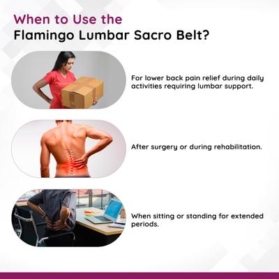 Flamingo Lumbar Sacro Belt - Black (OC - 2001) (XL) - Supports And Braces