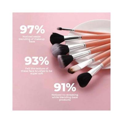 Prolixr Pro Face Makeup Brush Set 6's - Face Brush