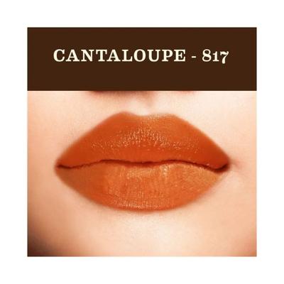 SoulTree Lipstick Cantaloupe 817 4 gm - Lipsticks