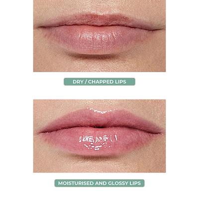 Organic Harvest High Gloss Lip Balm(Green Tea) 10 gm - Lip Balms