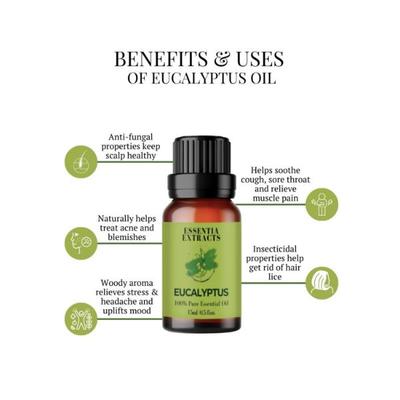 Essentia Extracts Eucalyptus Essential Oil 15 ml - Essential Oils