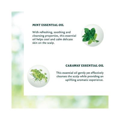 Rene Furterer Naturia Dry Shampoo 75 ml - Dry Shampoos & Conditioners