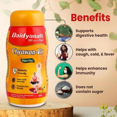 Baidyanath Sugarfree Chyawan Vit Powder 500 gm - Chyawanprash