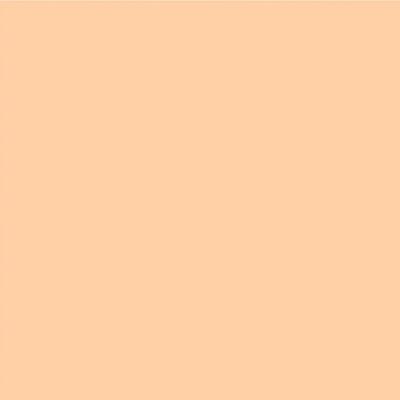 Pac Spotlight Liquid Foundation (Wheat Bread) 40 ml - Foundation