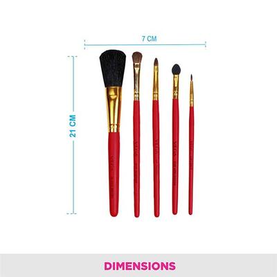 Vega Set Of 5 Brushes (RV - 05) 36 gm - Face Brush