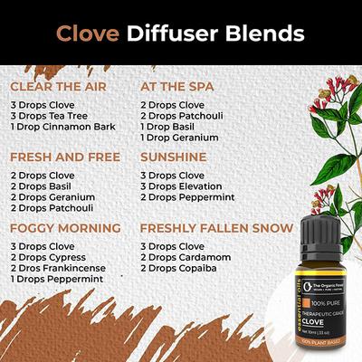 Organic Forest 100% VEGAN Clove Essential Oil 10 ml - Essential Oils