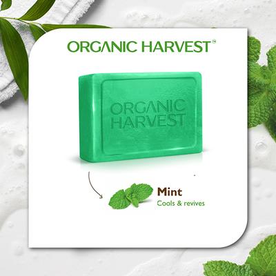 Organic Harvest Luxurious Bathing Bar - Mint, Mint Soap Bar for Gentle Cleansing, Mint Soap Bar 125 gm - Soaps