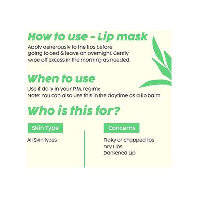 PLIX Pomegranate Lip Care Combo, Exfoliating Scrub and Plumping Lip Mask For Dark, Dry & Chapped Lips, Cocoa Butter & Chiuri Butter, Vitamin C & E 15gm each 2's - Lip Stains & Tints