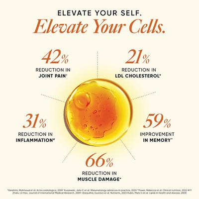 Wellbeing Nutrition slow triple strength Omega 3 fish oil with curcumin extract for brain, joint and heart - Omega Fish Oil Fatty Acids