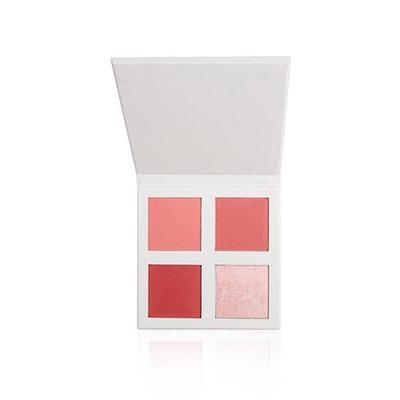 Revolution Pro 4K Blush Palette Pink 16 gm - Blushes