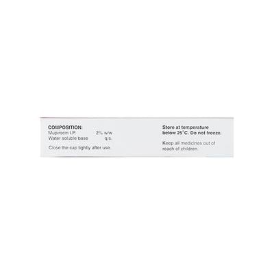 Supirocin Ointment 5gm - Skin Infections-Toa
