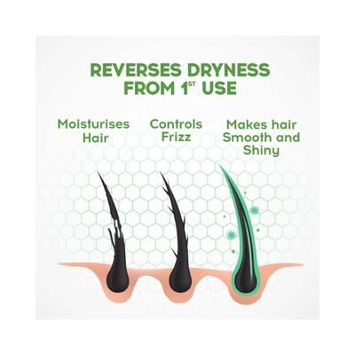 Dabur Vatika Health Hair Kit Vatika Health Shampoo -340ml with Vatika Health Conditioner - 180ml 2's - Shampoos