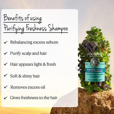L'Occitane En Provence Fraicheur Purifying Freshness Shampoo 300ml - Shampoos