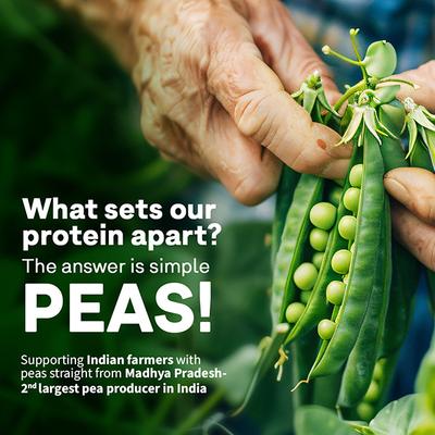 Oziva Bioactive Plant Protein (25G Vegan Protein) For Endurance & Muscle Recovery Plant-Based Protein (500G, Strawberry) 1's - Multi-Vitamins