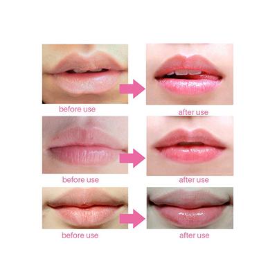 Miss Rose Long Lasting Transparent LipGloss 7701 - 033 20 gm - Lip Glosses