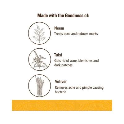 SoulTree Anti-acne Face Pack 50 gm - Face Packs