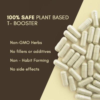 Rasayanam Testoboost Capsules 60's - Workout Essentials